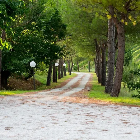 Bed & Breakfast Ca' Viola Rimini