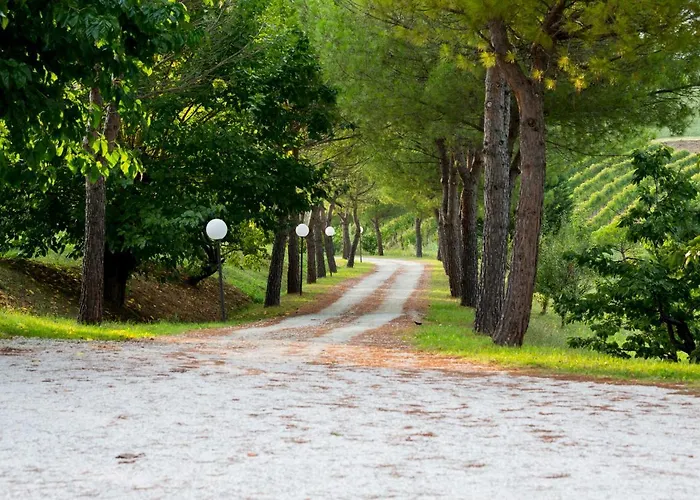 Bed and Breakfast Ca' Viola Ρίμινι