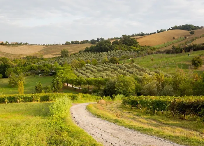 Bed and Breakfast Ca' Viola
